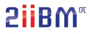 2IIBM TECH Nouvelle Caledonie